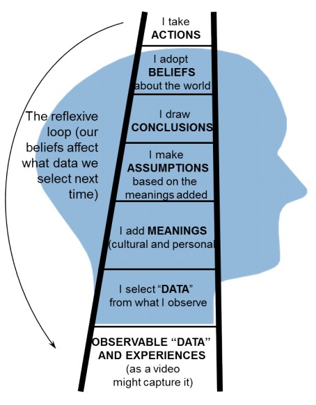The Ladder of Inference – Authentic Joy