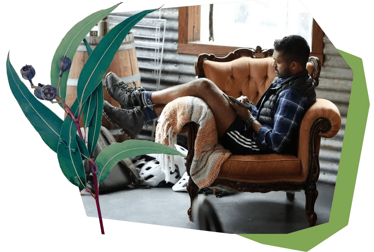 Collage - Eucalyptus with a man sitting in a chair while writing in his journal.