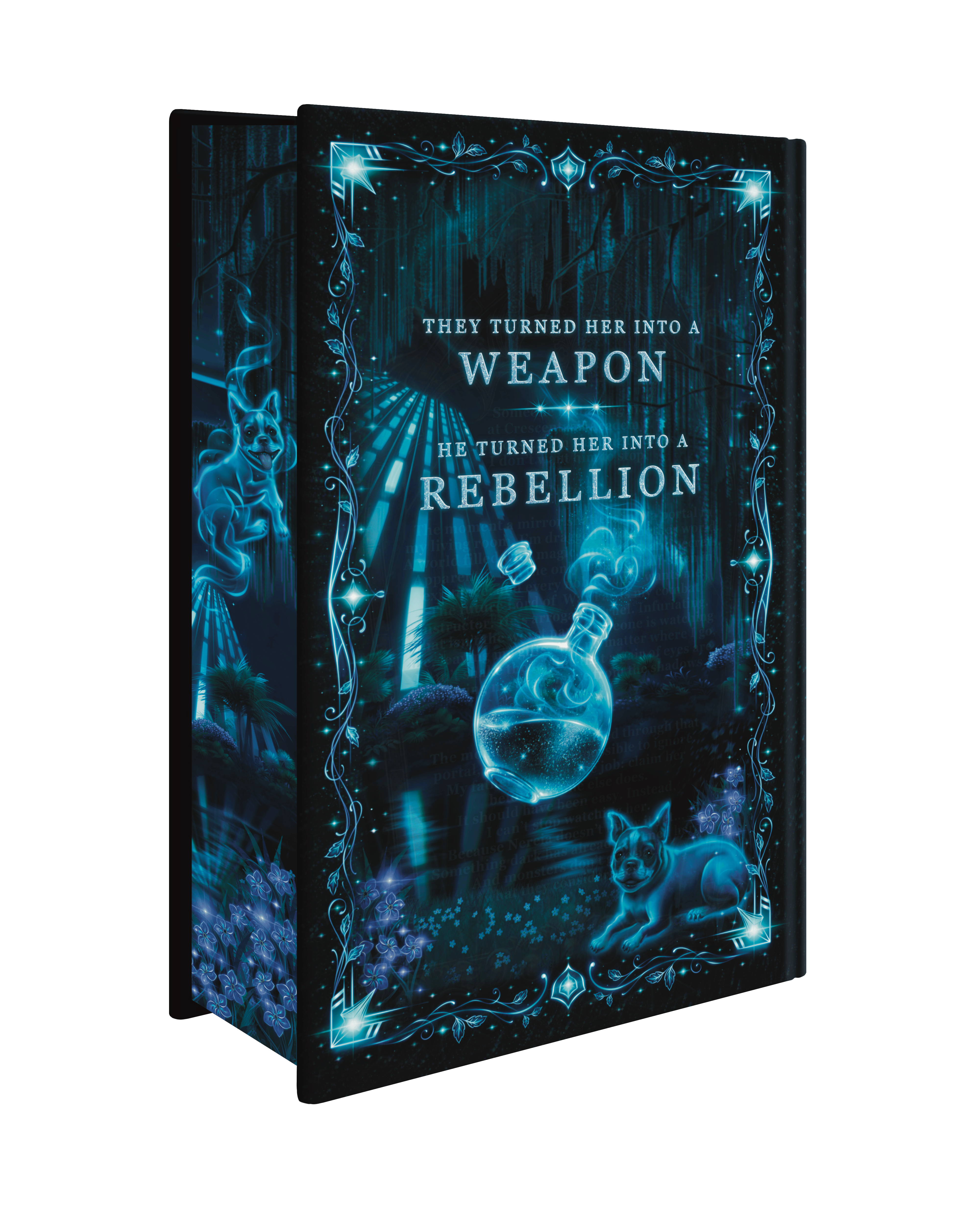 The Demon and the Savior Omnibus Special Edition
