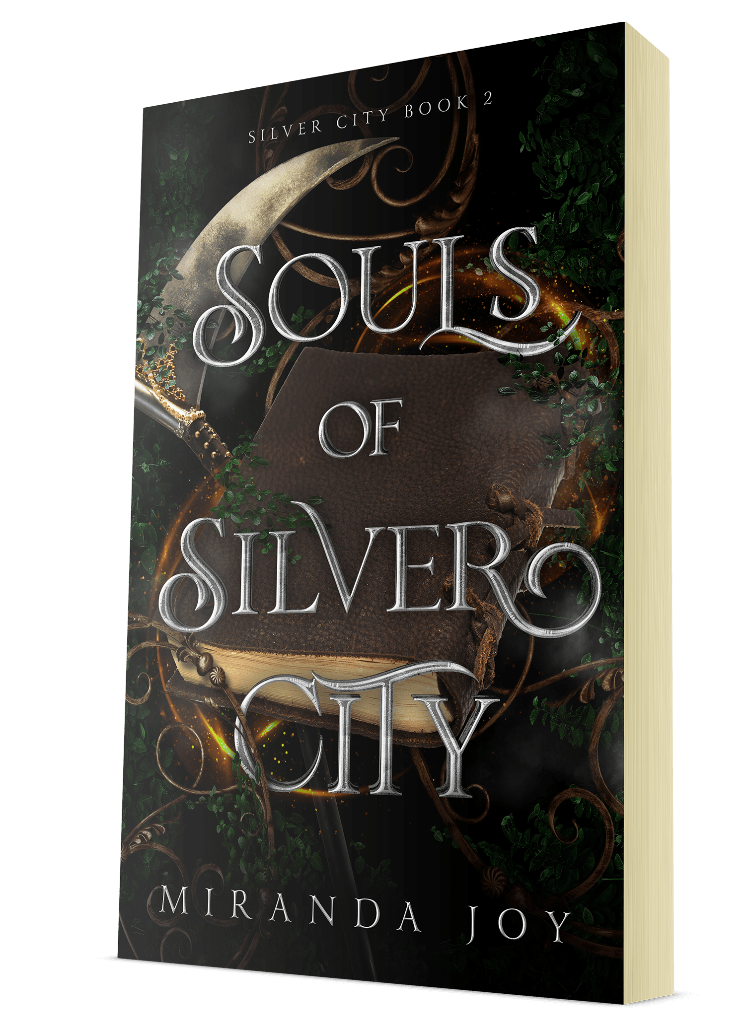 Shades of Silver City by Miranda Joy Shades of Silver City (read description)