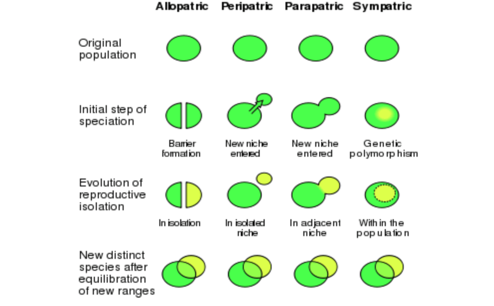 Alternitive Evolution A Primer on Evolution pt 3: Higher Concepts