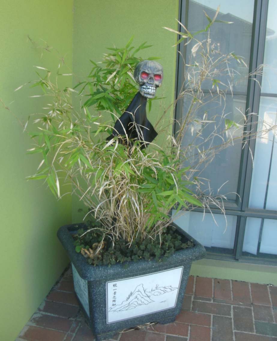 halloween-034