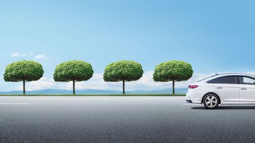 Carbon offset program