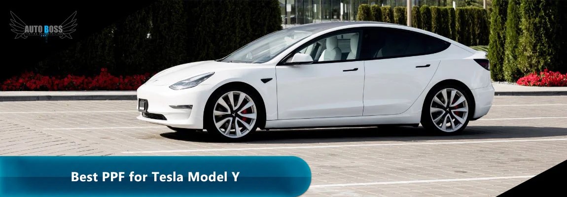 Best ppf for tesla model y