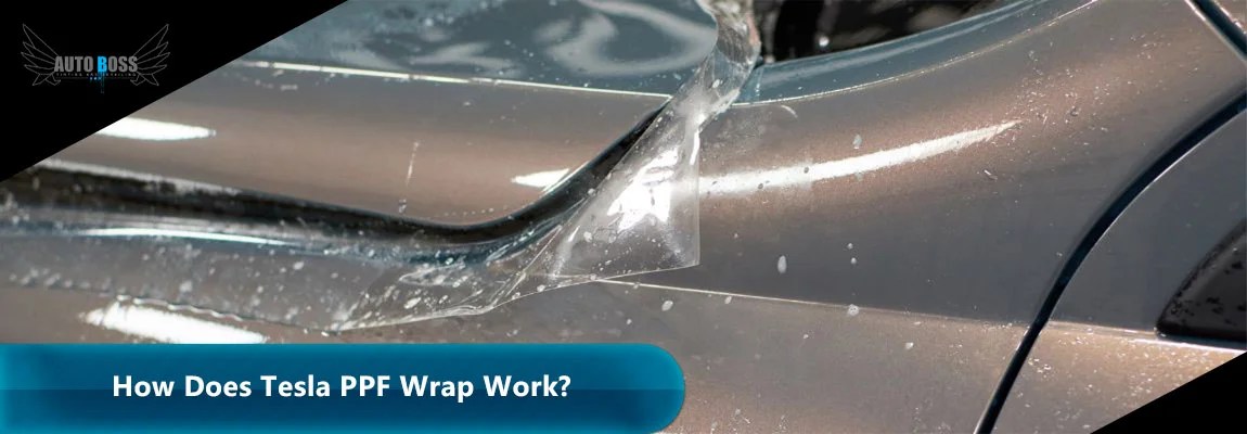 Tesla PPF wrap
