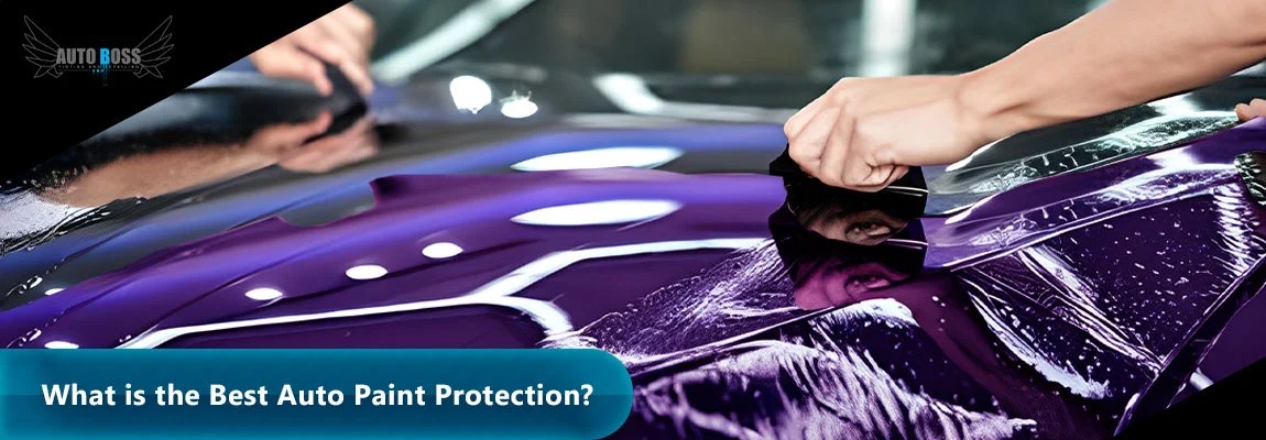 Auto Paint Protection Near Me