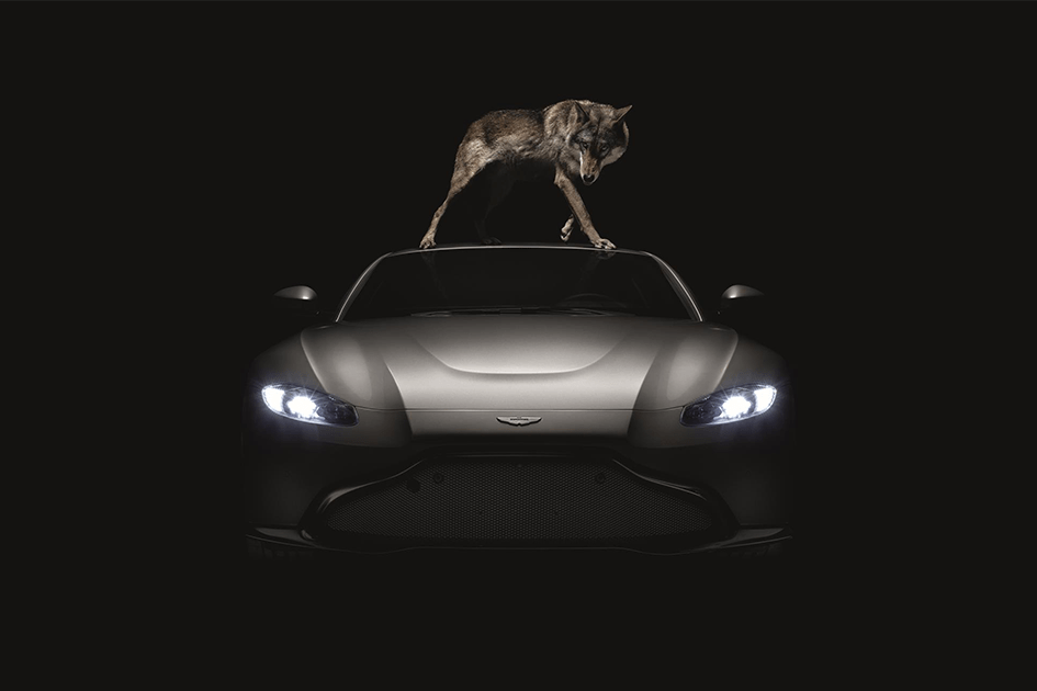 Aston martin ad campaign