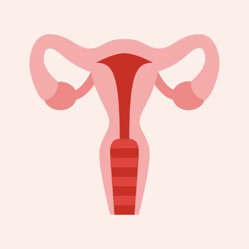 Autoimmune progesterone dermatitis (apd)