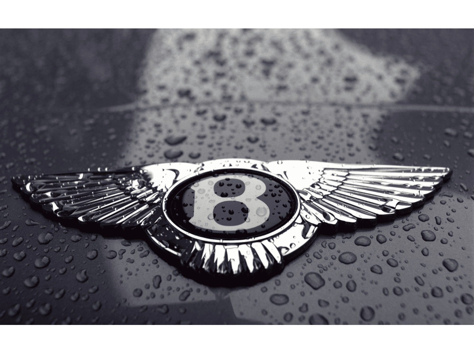 Bentley Logo Automarken Motorradmarken Logos Geschichte Png