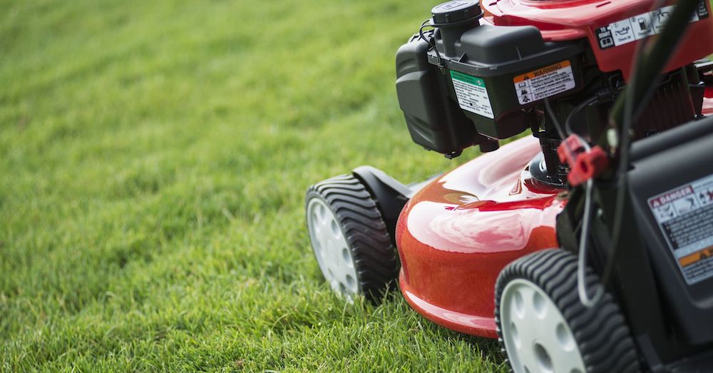 Grab Your Lawn Mower: Mowing Season is Coming