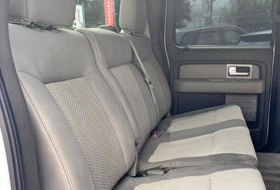 Ford F150 (3)