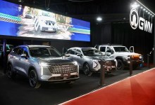 GWM Expo Auto Chino