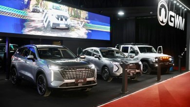 GWM Expo Auto Chino