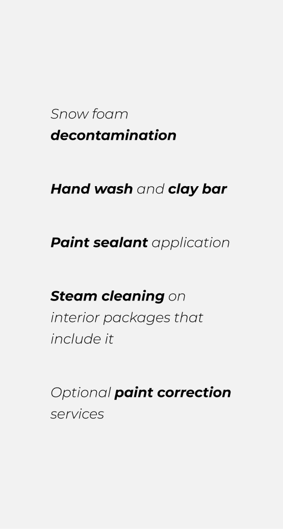 Interior steam cleaning during auto detailing at Auto Salon Pro