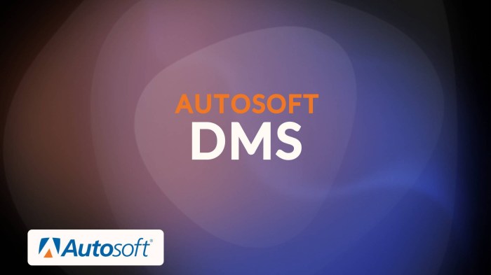 Autosoft dms services