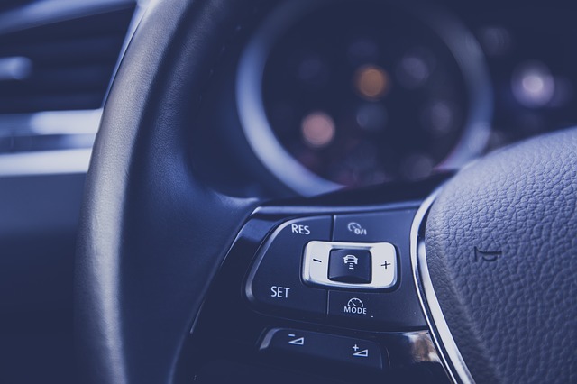 Car Cruise Control Buttons