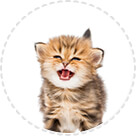 Feeding & Watering Supplies