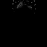 picture Goth Discord Pfp Gif avatar abyss alpha coders