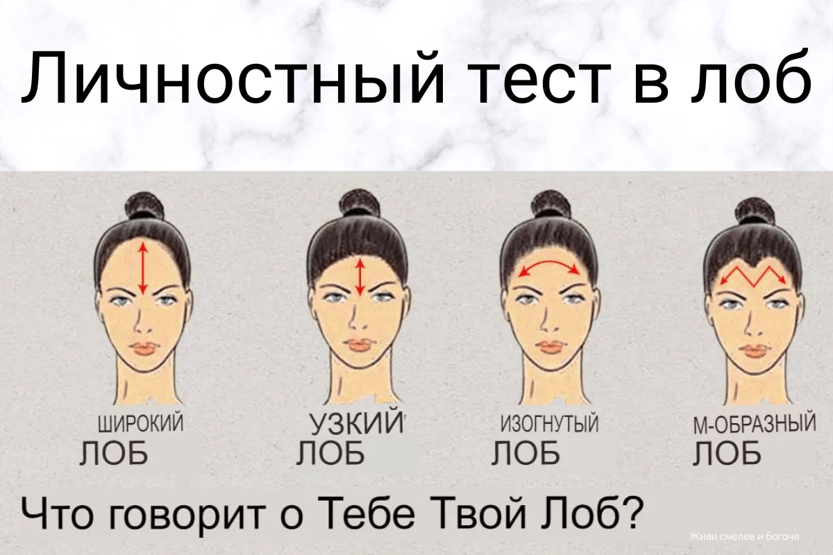 Физиогномика лоб. О чем говорит большой лоб. Высокий лоб у девушки. Узкий лоб физиогномика. Низкий лоб физиогномика.