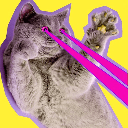 Github Iamwill123 Code Companion Ai - Modern Minimal Wallpaper - Full HD