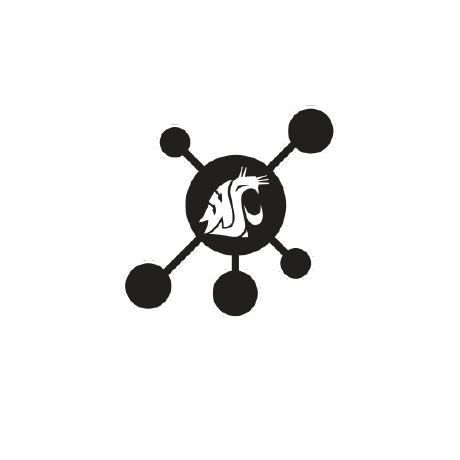 Github 2022 Cc Carnage Team Study Network Coug Study Network - Ultra HD Abstract Design - Retina