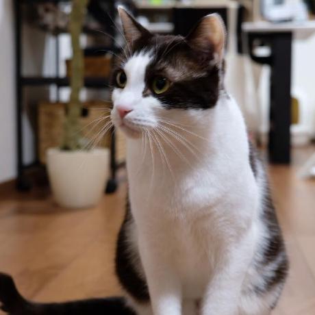 Hosoya0503 Hosoya Github - Download Artistic City Pattern | 8K