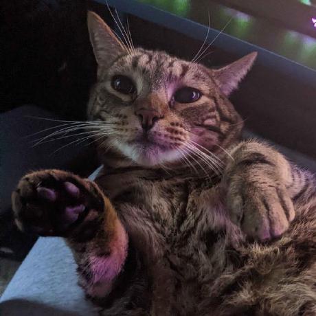 Jennielizz Jennie Github - Sunset Wallpaper Collection - Desktop Quality