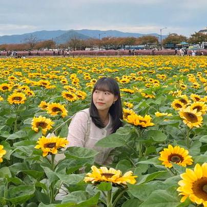 Github Hwangbambi Hanghaememo - Download Amazing Colorful Texture | 8K