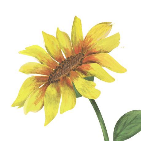 Cindyaryanti Github - Download Incredible City Art | Ultra HD