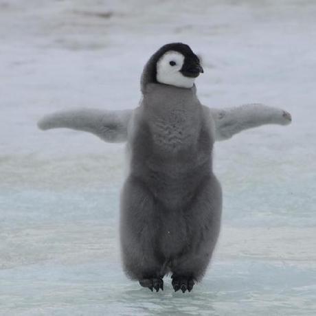 Releases Stbrian Mc3ds Blang Editor Github - Download Professional Mountain Design | Full HD