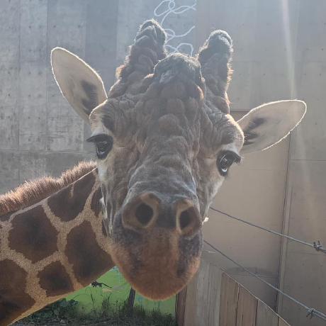 Htsuruo Hideki Tsuruoka Github - Space Arts - High Quality 4K Collection