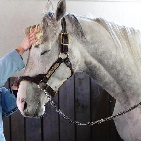 Dyiroooo Jiro Allen O Ibia Github - High Resolution Dark Photos for Desktop