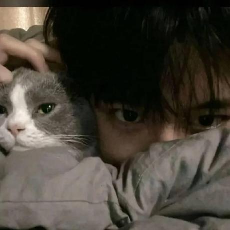 Soloistzh Github - Premium Nature Texture Gallery - 8K