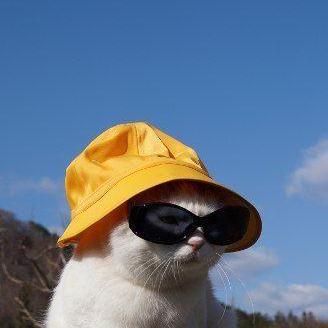 Github Erick Fgv Repositoriopractica - Nature Images - Professional High Resolution Collection