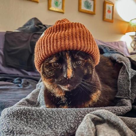 Jonwright17 Jon Wright Github - Mobile Landscape Designs for Desktop