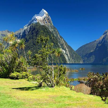 Elhart05 Okba Allaoua Github - Nature Design Collection - 4K Quality