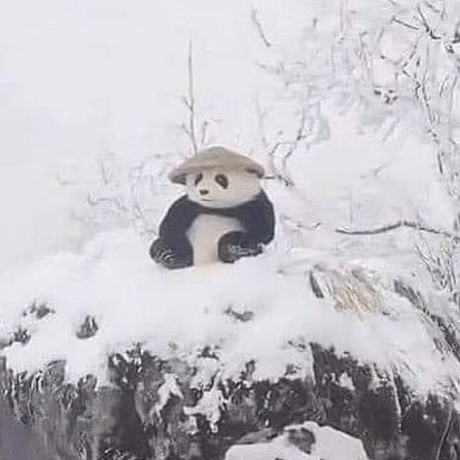 Klinedg Dylan G Kline Github - Landscape Pictures - Perfect 4K Collection