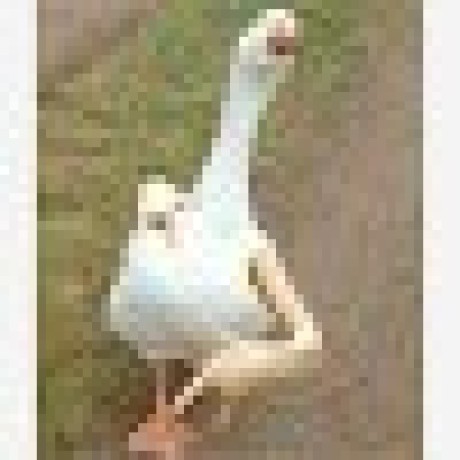 Azzura Gut Github - Ocean Backgrounds - Modern HD Collection