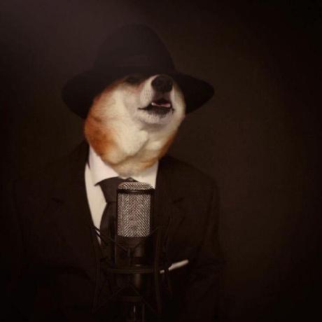 Xehoth Hongtu Xu Github - Creative 8K Mountain Backgrounds | Free Download