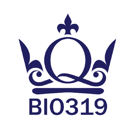 Queen Marry Github - Light Design Collection - Mobile Quality