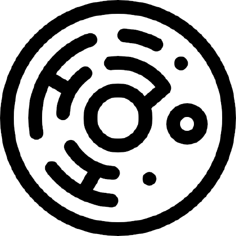 Github Spatial Systems Biology Freiburg 2022 Ss Intro Sys Bio Lecture Ss 2022 Introduction - Beautiful Light Texture - Retina