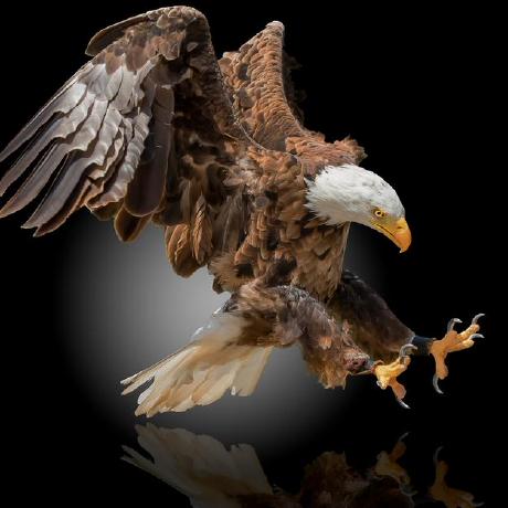 Babacar Ciss Babacar Ciss Github - Best Nature Images in Ultra HD