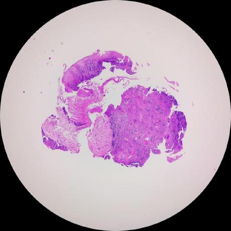 Github Shakerlab Shakerlab Github Io Website For The Shaker Lab At Usc - Download Incredible Light Background | 8K