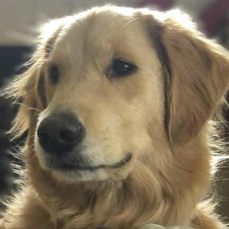 Ist256 Syracuse University Github