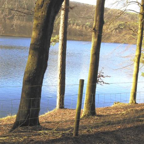 Genevievegorrell Genevieve Gorrell Github - Perfect Minimal Photo - High Resolution