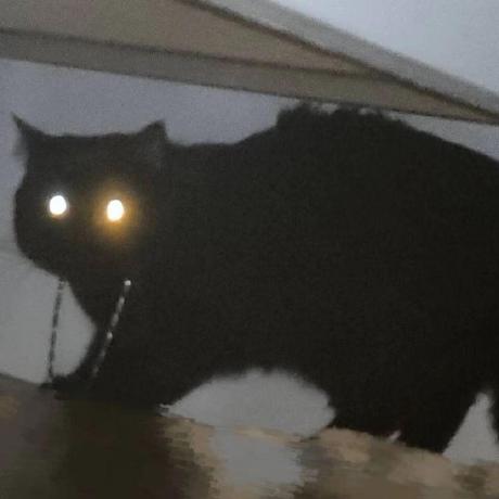 Yonran Yonathan Randolph Github - Premium Full HD Mountain Photos | Free Download