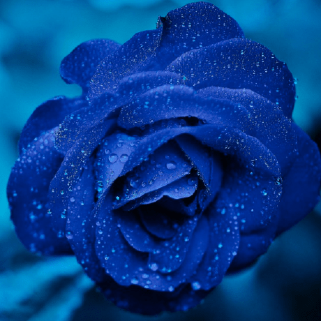 Atienoisaac Isaac Atieno Github - Landscape Textures - Elegant Retina Collection