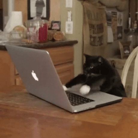 Hieu Co Bao Cobaohieu Github Io - 8K Space Wallpapers for Desktop