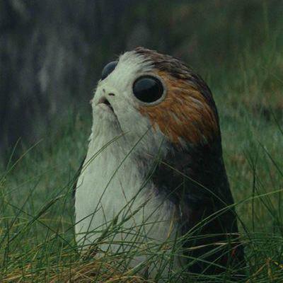 Devdiias Tha S Dias Github - Dark Texture Collection - 4K Quality