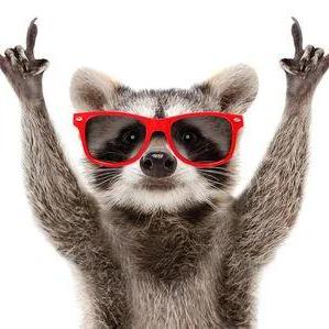 Daraxys Romain Github - Dark Patterns - Classic Desktop Collection